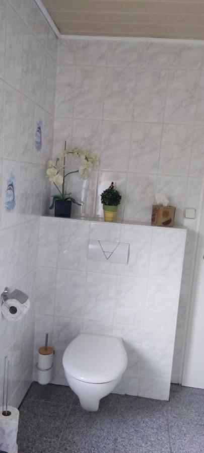 Schoene 3 Zi. Ferienwohnung Vor Den Toren Frankfurt دريش المظهر الخارجي الصورة