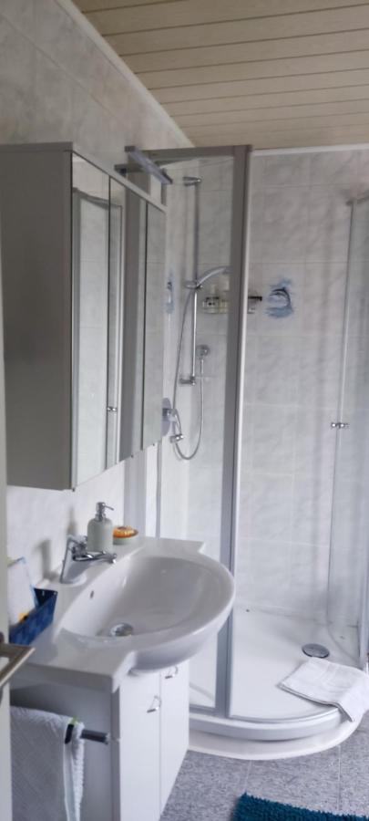 Schoene 3 Zi. Ferienwohnung Vor Den Toren Frankfurt دريش المظهر الخارجي الصورة