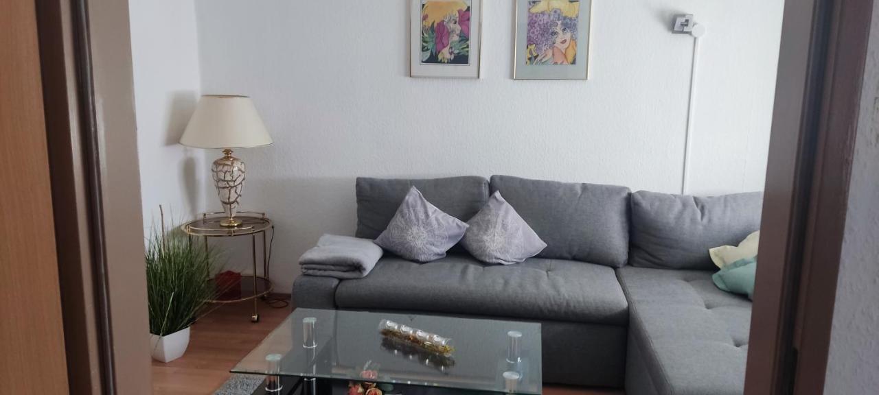 Schoene 3 Zi. Ferienwohnung Vor Den Toren Frankfurt دريش المظهر الخارجي الصورة