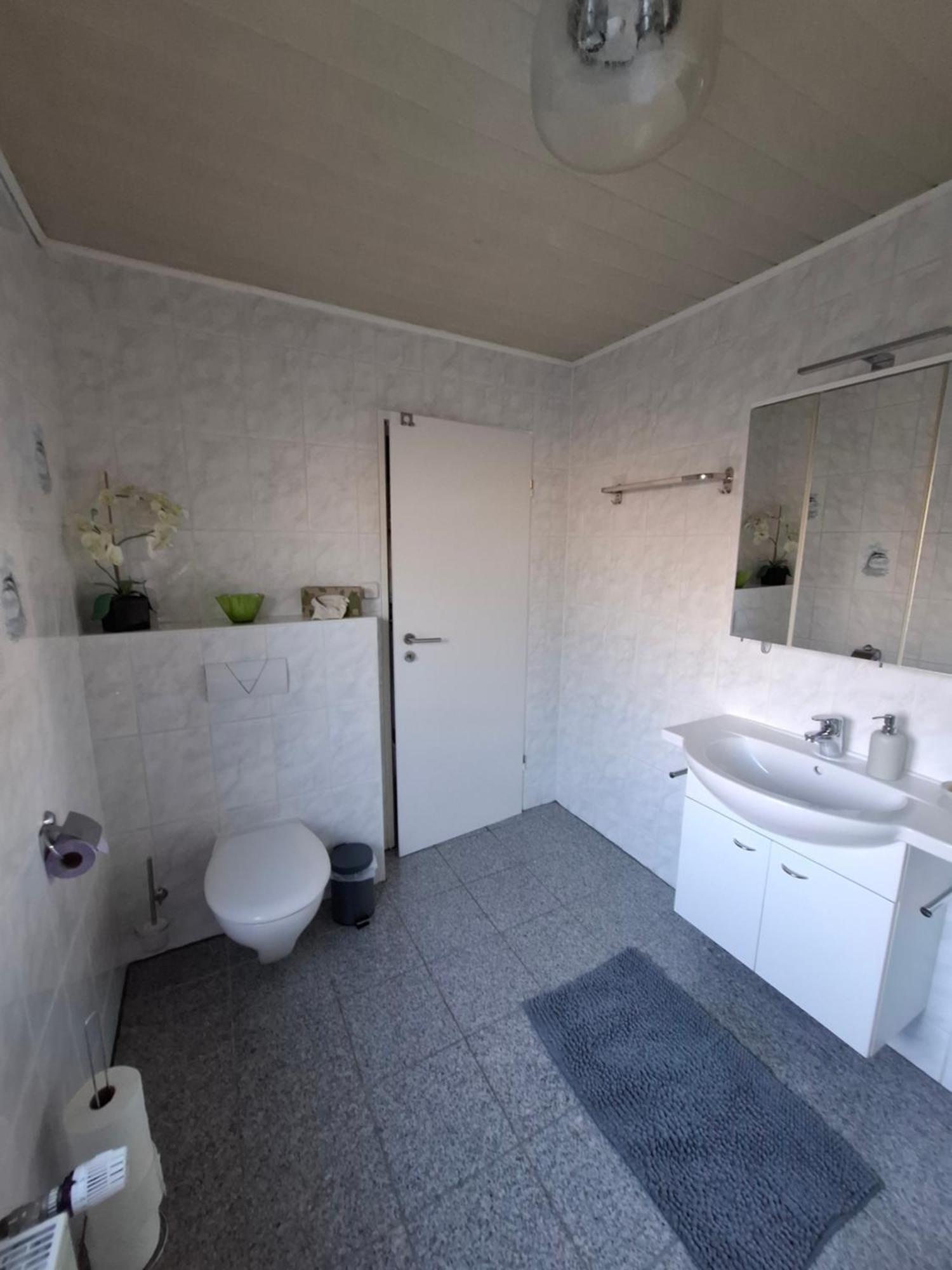 Schoene 3 Zi. Ferienwohnung Vor Den Toren Frankfurt دريش المظهر الخارجي الصورة